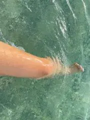 海羽の画像