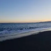 nemoの画像