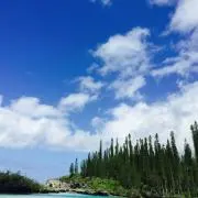 ふじ