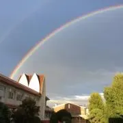 くまの画像