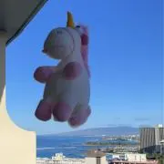 たこちゃんの画像