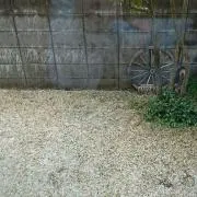 コウユウの画像