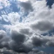 童楽ちゃんの画像