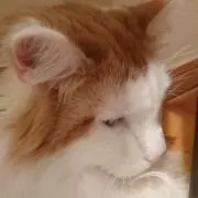さちこの画像