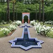 MARONの画像