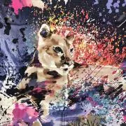 Hanaの画像
