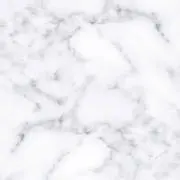 Rの画像