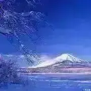 まるしん55✨文学の森❗️の画像