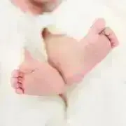 マーブルの画像
