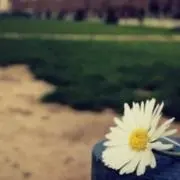 nam