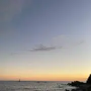 みぃの画像
