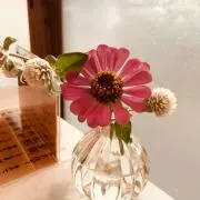 ❇︎きょこ❇︎の画像