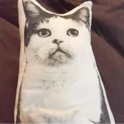 ちゃすちゃすの画像