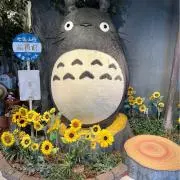 ぴーの画像
