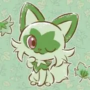 よっちぃ～の画像