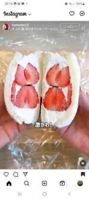 accoの画像