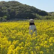 mの画像