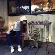 28の画像