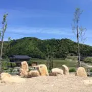 ことりのぴっぴ⍟断捨離中