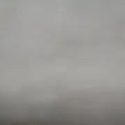 森の画像
