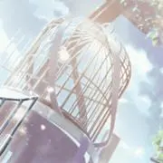 しろきの画像