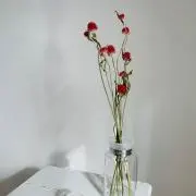 ばたこの画像
