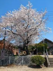 そよそよ