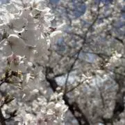 ガチャガチャ好きのOLの画像