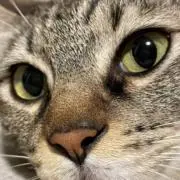 エリア134の画像
