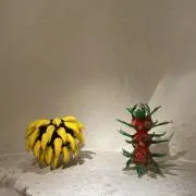 饅頭の画像