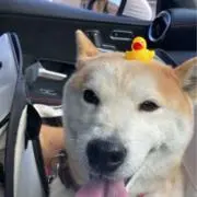 kyaの画像