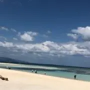 ぴーや！の画像