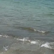 reiの画像