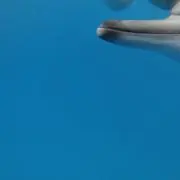 mktの画像