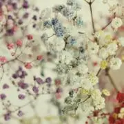 yu＊次回発送6/29以降の画像