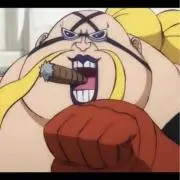 QP