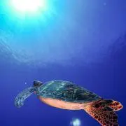 ジャック　プロフ必ず見てください‼️の画像
