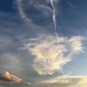 みゆ