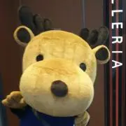 dehma