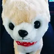 とし