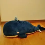 はるわかの画像