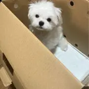 Emilyの画像