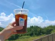 こいゆの画像