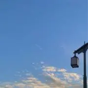 Eviの画像