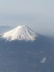 ともちゃんの画像