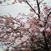 m◯引っ越し整理中の画像