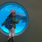 ykkmの画像