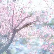 つばきの画像