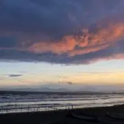 さたぱんびんの画像