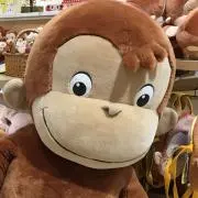 kakaの画像